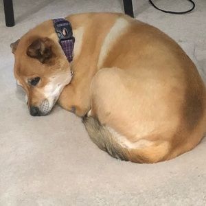 Meet your Posher, Vivian